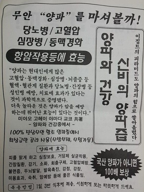 무안 양파 효능이 적혀있는 종이