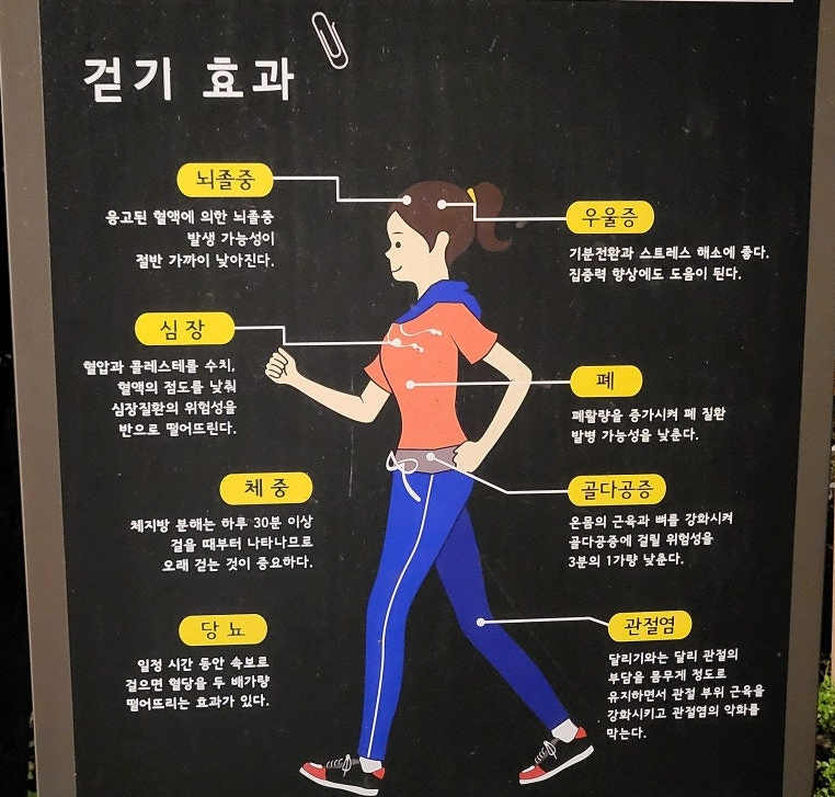 걷기 효과를 사람의 부위 별로 표시해서 보여주고 있다.