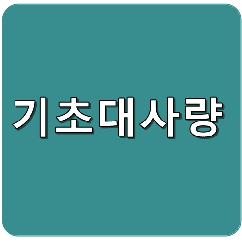 기초대사량 5글자 텍스트 이미지