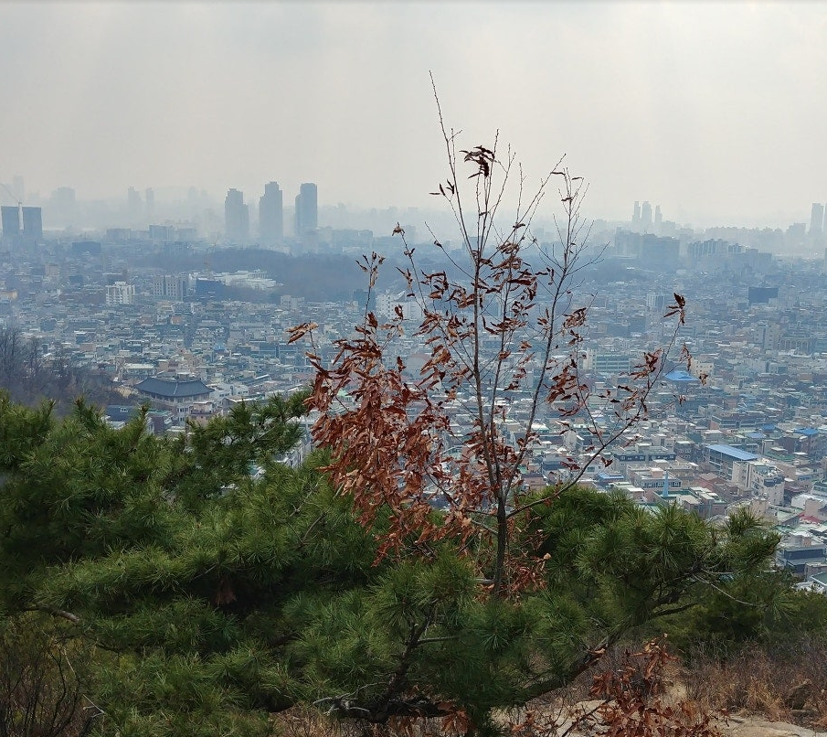 아차산 정상 바로 아래서 찍은 사진